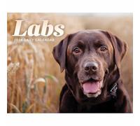 Calendario de escritorio 2026 de Labrador Retrievers