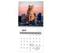 Calendario De Escritorio - Calendnnar | Escritorio Académico Calenndar 2025 | Cat Callendar | Recordatorio Mensual De Recordatorio De Diseño Vertical Citas De Programación De Hogares Estudi