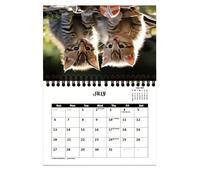 Calendario de gatitos 2025, calendario de pared 2025 - Calendario de pared cuadrado gatito, calendario familiar 2024, 11,22 x 8,27 x 0,2 pulgadas, planificador de 12 meses, linda foto de gato