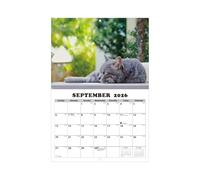 Calendario de gato 2026 - Herramienta de planificación de 13 meses | Calendario de animales enganchable | Para el hogar, oficina, escuela, sala de estudio, clase taller de maestros Estudiantes