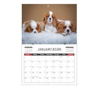 Calendario de gatos 2026 | Creativo y lindo | Calendario de pared mensual para colgar - para planificación de lugar de trabajo, estudio, escritorio, organización, hogar, familia, mesa, escuela, amigos