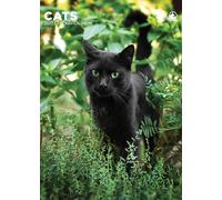 Calendario de gatos 2027, A3, a todo color, con espiral (CRU)