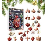 Calendario De L 2025 | 2D 2025 Figuras De Anatomía | Calendario De Navidad Del Cuerpo Humano Con Cerebro | Para Pared Armario Ventana Dormitorio Salón Fiesta De Navidad Cumpleaños