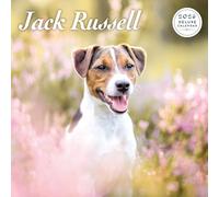Calendario de lujo 2026 de Jack Russell