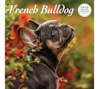 Calendario de lujo de Bulldog Francés 2026