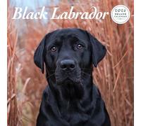 Calendario de lujo Labrador Black 2026