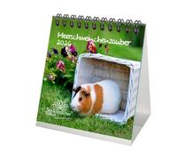 Calendario de mesa de 10 cm x 10 cm para 2026 cobayas Seelenzauber
