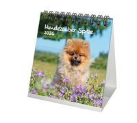Calendario de mesa de punta, 10 cm x 10 cm, para cachorros y perros 2026 Seelenzauber