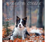 Calendario de pared 2025-2026, calendario de pared Border Collie, abierto de 12 x 24 pulgadas, planificador familiar con imágenes de Border Collie, para amantes de los perros