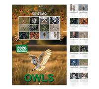 Calendario de Pared 2026,Calendario Mensual Con Patrones De Búhos - Enero A Diciembre 2026, Estampado Animal, Planificador Para Agenda Diaria