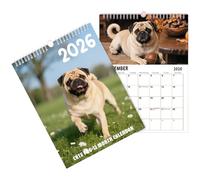 Calendario de pared 2026 Rejillas grandes Papel grueso Colgador seguro Páginas desprendibles Tema de perro Organizador de bloc de notas para pared, para maestros de familia, escuelas en interiores
