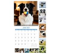 Calendario de pared 2027 de 12 meses, lindo y planificador | Calendario anual de 12 meses para amantes de los perros, oficina, escuela, aula, programación, organización