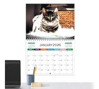 Calendario de pared | Calendario artístico mensual para pared | Agenda de papel divertida e ingeniosa para profesores niños casa escuela oficina