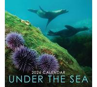 Calendario de pared colgante cuadrado 2026 Under the Sea de 30,5 x 30,5 cm con impresionante fotografía submarina de vida marina - Sin plástico, respetuoso con el medio ambiente. Planificador diario