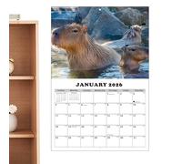 Calendario de pared de 13 meses 2026-2027 | Gestión personal del tiempo con temática de Capibara, planificador de calendario 2026-2027 de pared con fechas julianas | para planificar citas