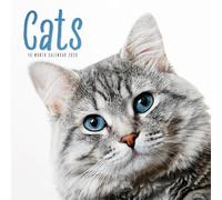 Calendario de pared de gatos 2026