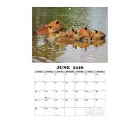 Calendario de pared mensual, ilustraciones de animales ingleses | Calendario colgante en la pared con doce, para aula, comedor, dormitorio, salón, estudio, estudiantes y profesores