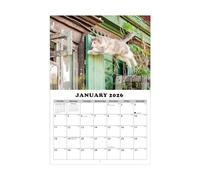 Calendario de pared para gatos 2026, planificador de 13 meses, calendario de pared con motivos de gatos, para estudiantes, profesores, consejeros, autónomos, hogar, escuela, dormitorio, estudio, aula