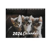 Calendario de pared para gatos, planificador mensual de gatos 2026, organizador de 12 meses con papel grueso, lindo material escolar y de oficina con temática para escritorio, dormitorio