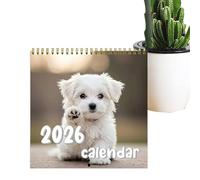 Calendario de pared para perros 2026 con cachorros | Planificador de casa de cuadrícula grande para preparaciones de vacaciones, rutinas de fitness, programación de actividades