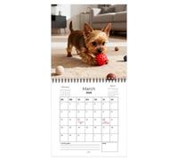 Calendario de perro 2026, ilustraciones encantadoras de perros, 21 x 21 cm, calendario de Yorkshire Terrier 2026, planificador de planificación mensual de arte animado, creador de ambiente animado