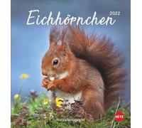 Calendario de postales de ardilla 2022