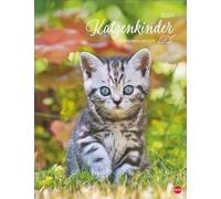 Calendario de póster para niños gatos 2024 por Monika Wegler. Irresistibles gatos bebés en retrato. Un gran calendario de pared con muchas fotos e historias. Calendario decorativo para gatos.