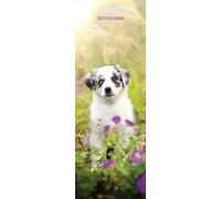 Calendario delgado 2027 Puppies