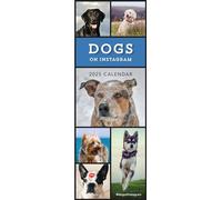 Calendario delgado de perros en Instagram 2025