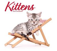 Calendario moderno 2026 de gatitos