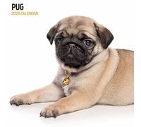 Calendario moderno 2026 Pug