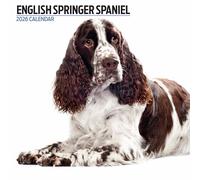 Calendario moderno de Springer Spaniel inglés 2026