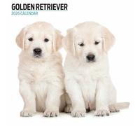Calendario moderno Golden Retriever 2026