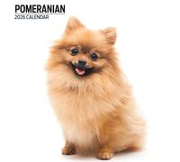 Calendario moderno Pomerania 2026
