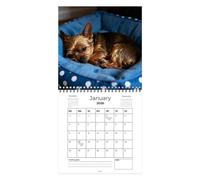 Calendario Para Perros 2026 - Yorkshire Terrier 8.2x8.8in | Calendario De Pared Con Portada De Margaritas Y 12 Fotos De Cachorros | Papel Estucado Grueso Encuadernado En Espiral De Doble Cara Para Org