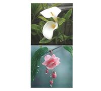 Calendario póster de flores - Agenda mensual ilustrada con 12 motivos florales | Planificador decorativo para casa, oficina, escuela o viaje | Ideal para regalo amantes de la naturaleza y