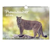 Calendario Pumazauber DIN A4 para 2026 Puma - Seelenzauber