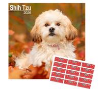 Calendario Shih Tzu 2026, Calendario de Pared Cuadrado de Raza de Perro, 16 Meses, Septiembre 2025 - Diciembre 2026, Calendario con Pegatinas Organizativas Gratis