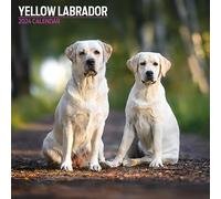 Calendario tradicional 2024 amarillo labrador