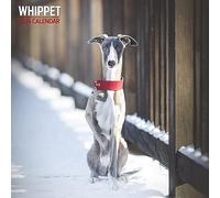 Calendario tradicional 2024 de Whippets