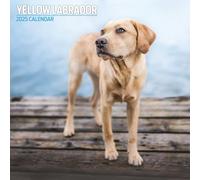 Calendario tradicional 2025 amarillo labrador