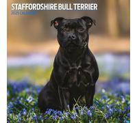 Calendario tradicional 2025 de Staffordshire Bull Terrier