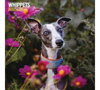 Calendario tradicional 2025 de Whippets
