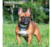Calendario tradicional 2026 de Bulldog Francés
