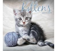 Calendario tradicional 2026 de gatito