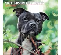 Calendario tradicional 2026 de Staffordshire Bull Terrier