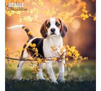 Calendario tradicional Beagle 2026
