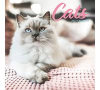 Calendario tradicional Cat 2023