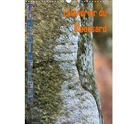 Calendrier du bleausard (calendrier mural 2020 din a3 vertical) - le calendrier de tous les grimpeur (Calvendo Sportif)