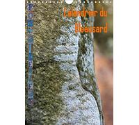 Calendrier du bleausard (calendrier mural 2020 din a4 vertical) - le calendrier de tous les grimpeur (Calvendo Sportif)